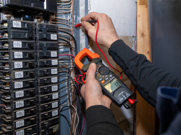 Best Electric Panel Repair  in South Miami Heights, FL